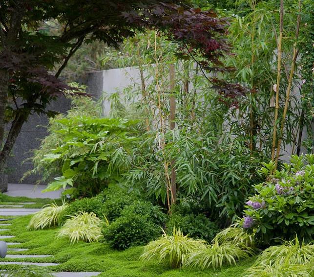 青岛庭院设计施工对家居风水好的6大常用观赏植物有哪些?