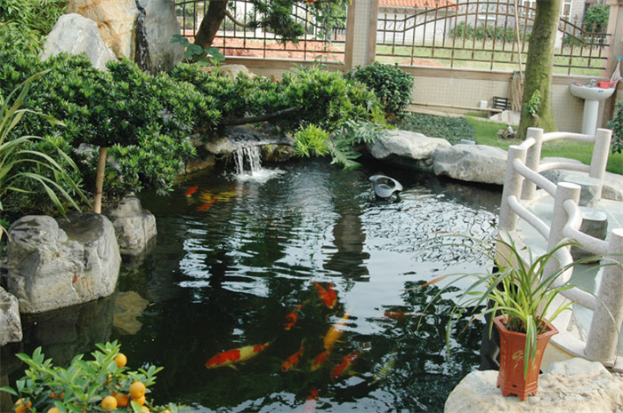 别墅庭院鱼池给日常生活带来乐趣