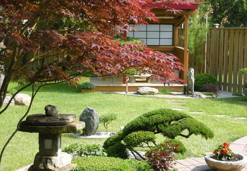 日式别墅庭院植物怎样做好日常维护，呈现庭院的质感和文化内涵
